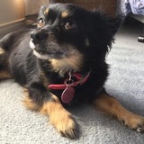 Entry image for Ellie 