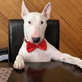 Entry image for Kevin 