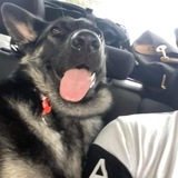 Entry image for Rosie