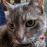 Entry image for Snuggles