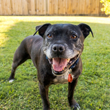 Entry image for Wizard