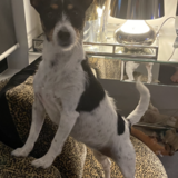 Entry image for Tuppence 