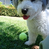 Entry image for Chika