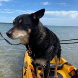 Entry image for Zack