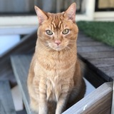 Entry image for Matilda