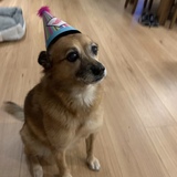 Entry image for Daisy