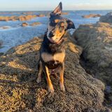 Entry image for Lexi