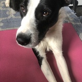 Entry image for Luther 