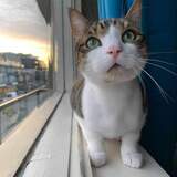 Entry image for Zach