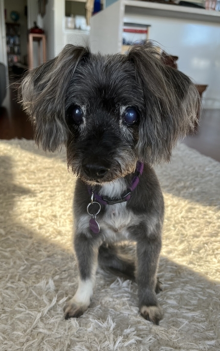 Entry image for Bayge. Clicking this image will show a larger photo