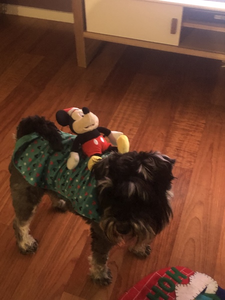 Entry image for Pickles. Clicking this image will show a larger photo