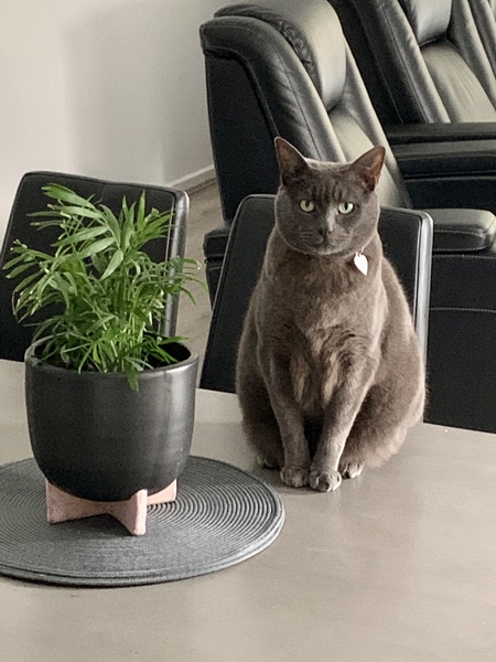 Entry image for Cloud. Clicking this image will show a larger photo