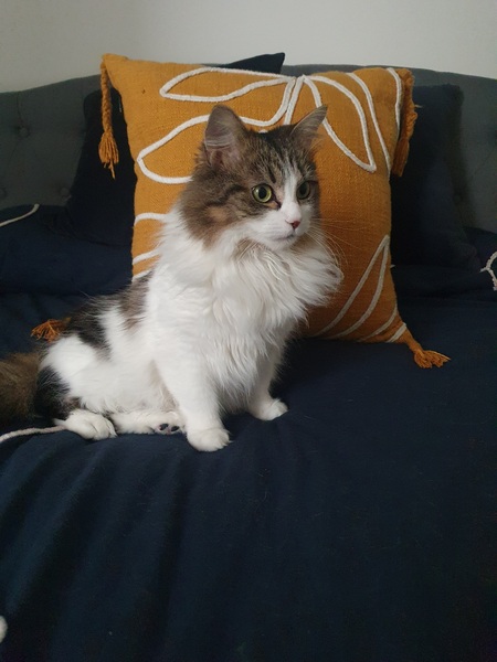 Entry image for Winnie. Clicking this image will show a larger photo