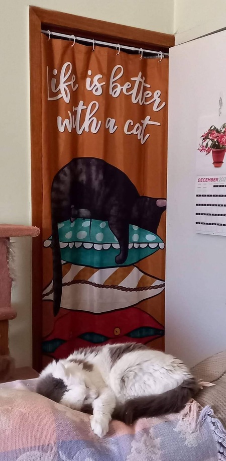 Entry image for George. Clicking this image will show a larger photo