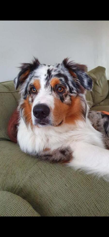 Entry image for Athos. Clicking this image will show a larger photo