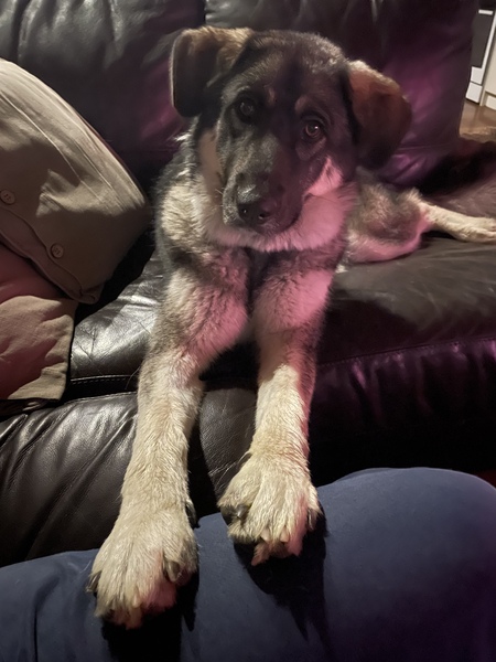 Entry image for Winki. Clicking this image will show a larger photo