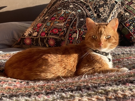 Entry image for Bobbi. Clicking this image will show a larger photo