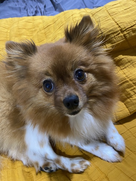 Entry image for Cece. Clicking this image will show a larger photo