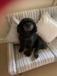 Entry image for Charliegirl. Clicking this image will show a larger photo