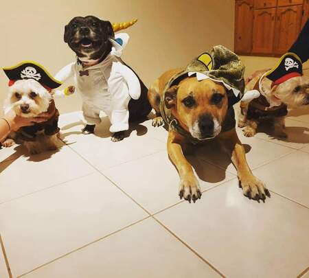 Entry image for The 4 Muskateers. Clicking this image will show a larger photo