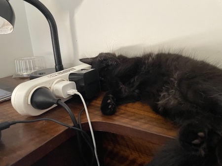 Entry image for Wesley. Clicking this image will show a larger photo