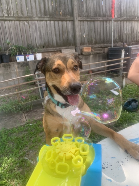 Entry image for Paris . Clicking this image will show a larger photo