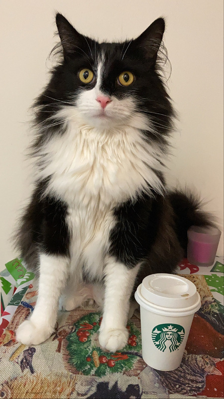 Entry image for Roy. Clicking this image will show a larger photo