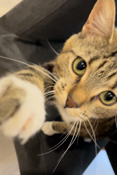 Entry image for Betty Maree. Clicking this image will show a larger photo