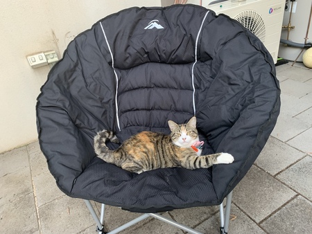 Entry image for Roisin. Clicking this image will show a larger photo