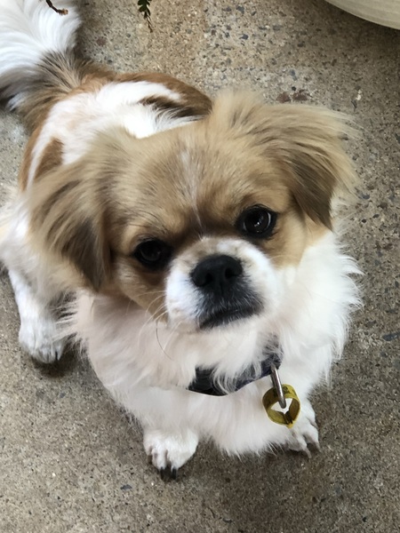 Entry image for Nyma. Clicking this image will show a larger photo