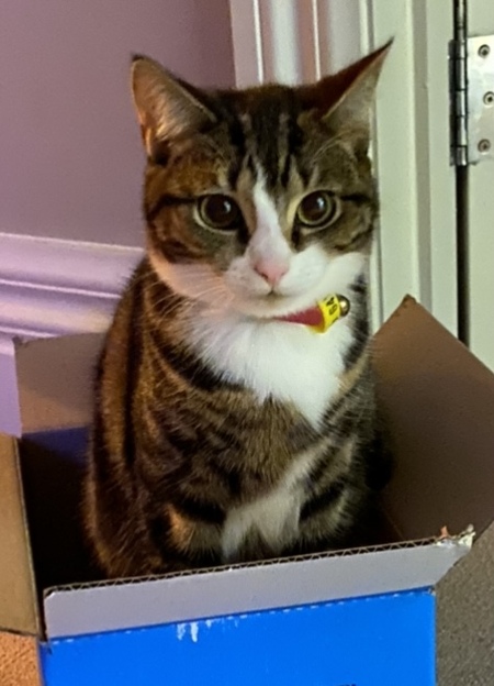 Entry image for Regina. Clicking this image will show a larger photo