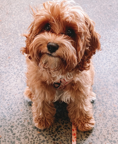 Entry image for Toast. Clicking this image will show a larger photo