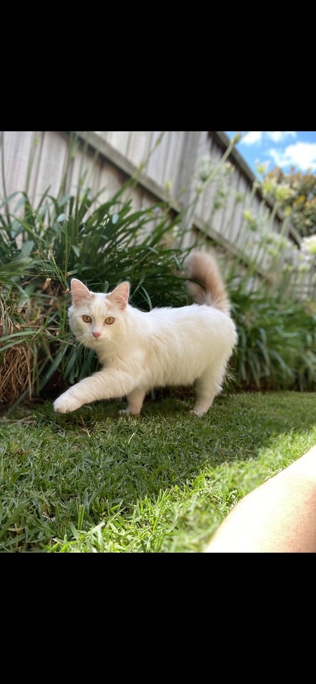 Entry image for Marshall . Clicking this image will show a larger photo