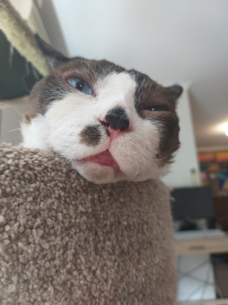 Entry image for Poseidon. Clicking this image will show a larger photo