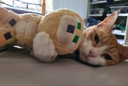 Entry image for Sami. Clicking this image will show a larger photo