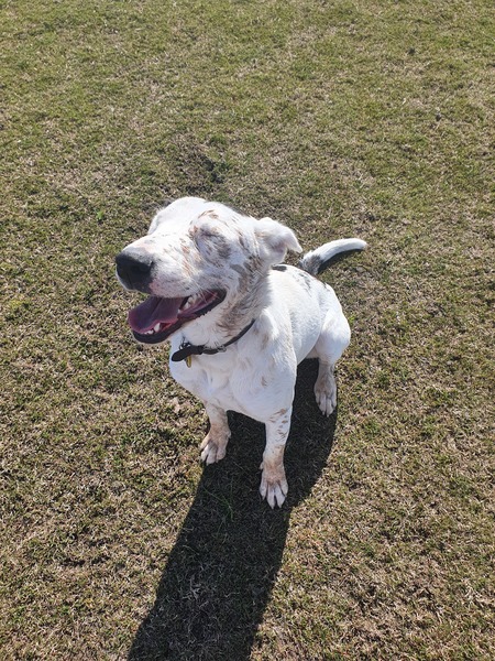 Entry image for Mindy. Clicking this image will show a larger photo