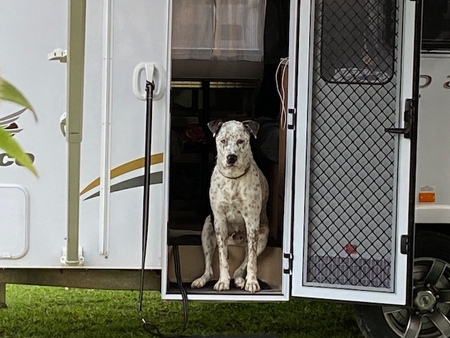 Entry image for Boston. Clicking this image will show a larger photo