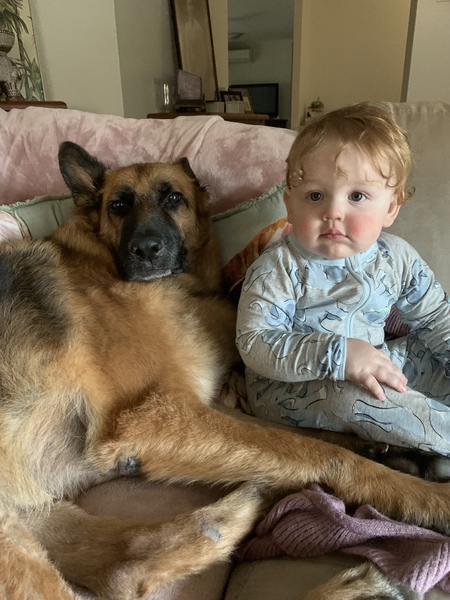 Entry image for Ranger . Clicking this image will show a larger photo