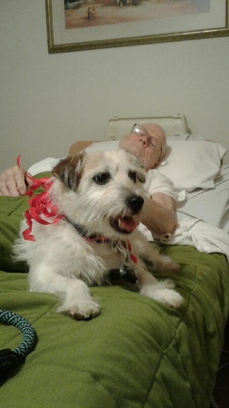 Entry image for Lily. Clicking this image will show a larger photo