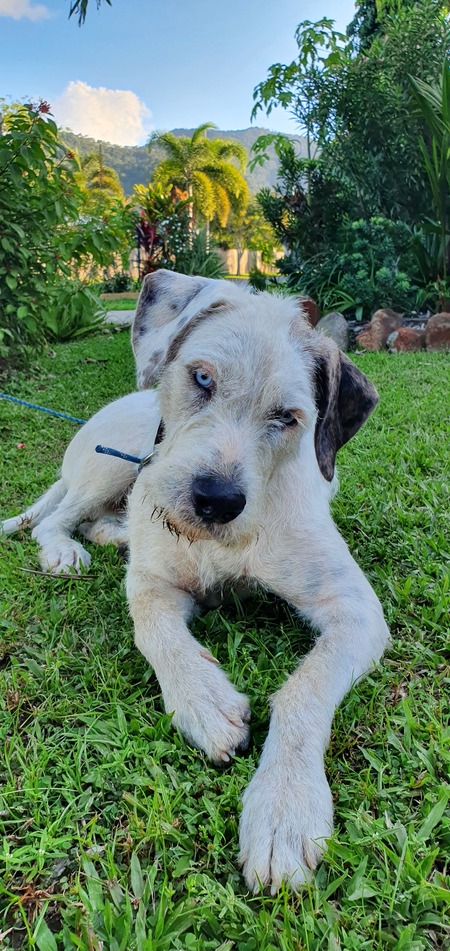 Entry image for Haven. Clicking this image will show a larger photo