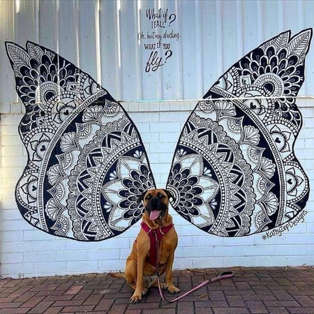 Entry image for Honey. Clicking this image will show a larger photo