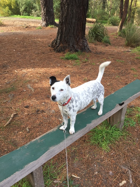 Entry image for Andy . Clicking this image will show a larger photo