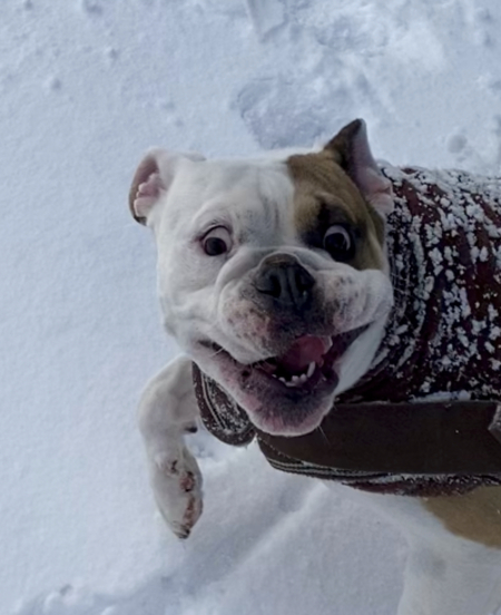 Entry image for Warren. Clicking this image will show a larger photo