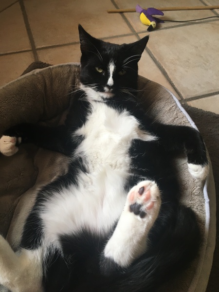 Entry image for Roger. Clicking this image will show a larger photo