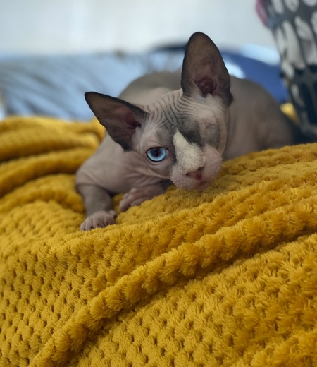 Entry image for Zombie. Clicking this image will show a larger photo