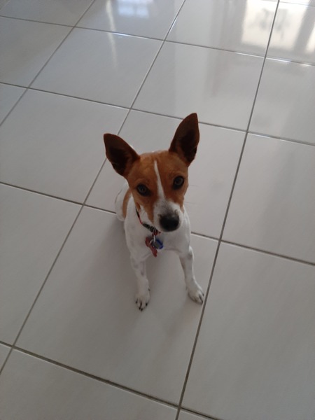 Entry image for Bob. Clicking this image will show a larger photo