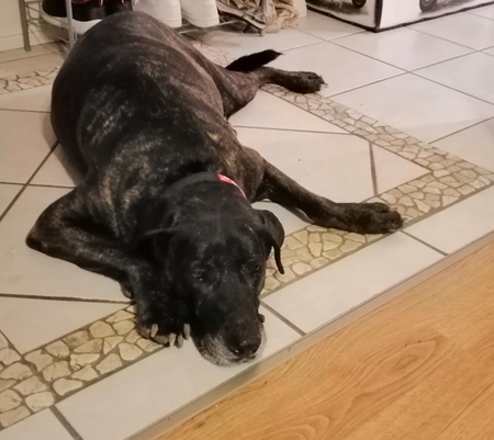 Entry image for Tanzi. Clicking this image will show a larger photo