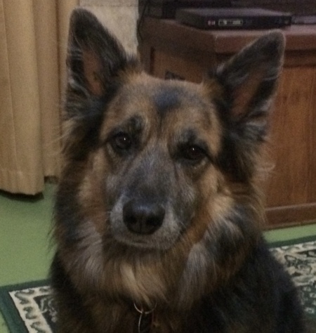 Entry image for April. Clicking this image will show a larger photo