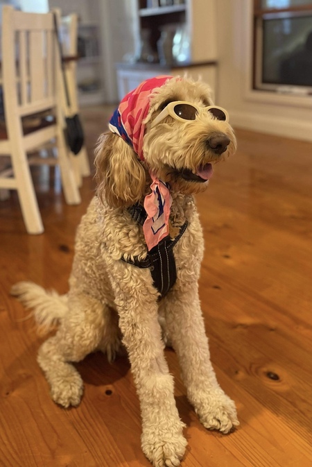 Entry image for Jersey. Clicking this image will show a larger photo