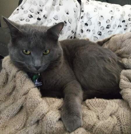 Entry image for Grayson. Clicking this image will show a larger photo